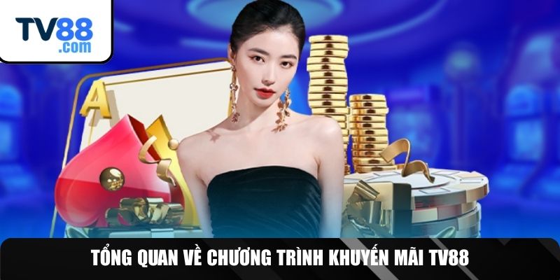 Tìm hiểu chung về hệ thống ưu đãi TV88