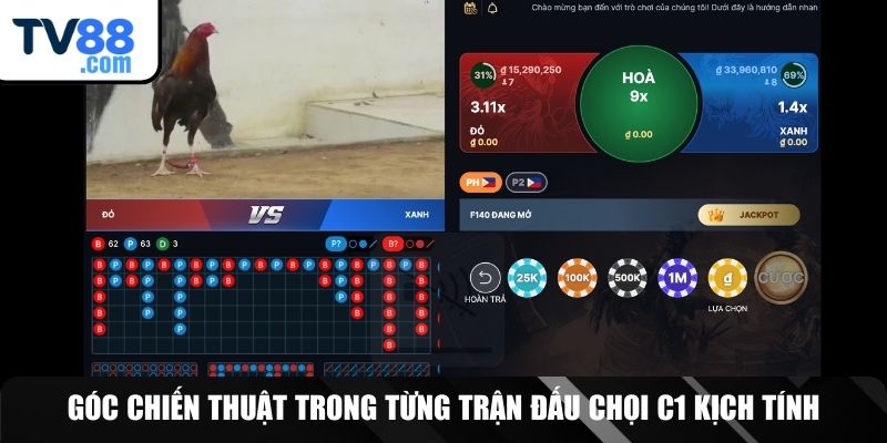 Tham gia cá cược đá gà hấp dẫn cùng nền tảng TV88