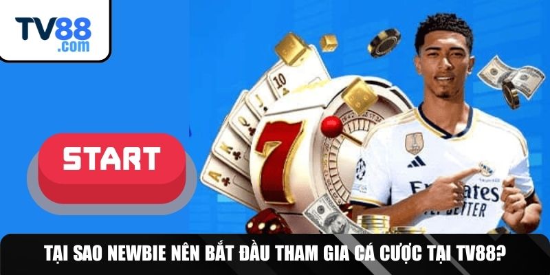 Ưu điểm nổi trội khi trải nghiệm TV88