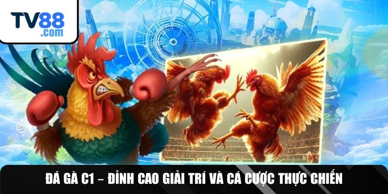 Chiến thuật quý báu khi vào tiền cho kèo đấu C1
