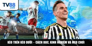 Kèo Trên Kèo Dưới – Cách Đọc, Kinh Nghiệm Và Mẹo Chơi