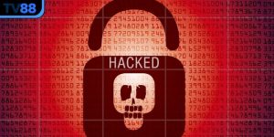 tool hack tài xỉu