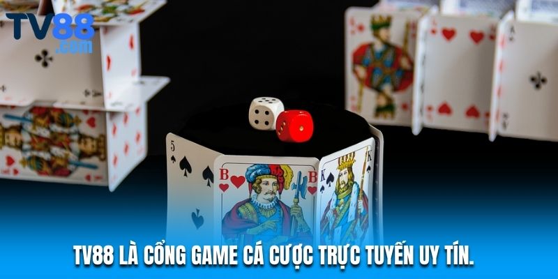 Đôi Nét Cơ Bản Về Hệ Thống TV88